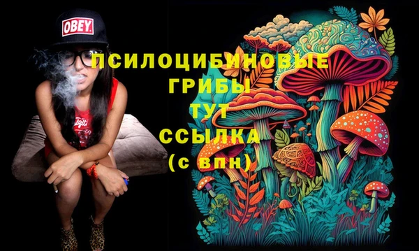 экстази Белокуриха